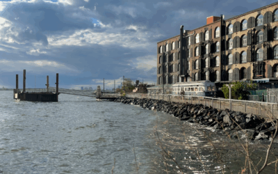 Summer Happenings Festival: Composure